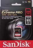 Melhores cartões SD e cartões microSD | 2024