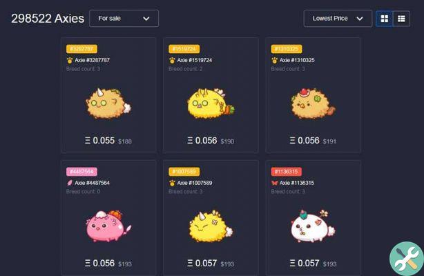 How to buy Axies in the MarketPlace - Create your team in Axie Infinity