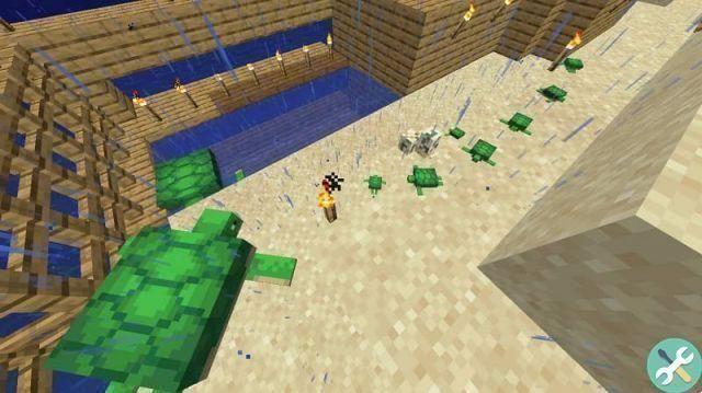 How to hatch and hatch turtle eggs in Minecraft