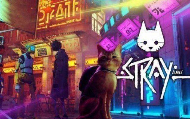 Stray: the complete trophy list of the BlueTwelve title revealed!