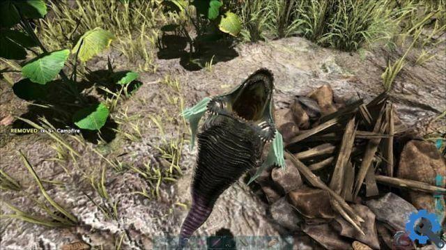 How to remove leeches in ARK: Survival Evolved and stop them from sucking your blood