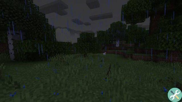 Comment faire pleuvoir et arrêter de pleuvoir dans Minecraft - Commande Rain