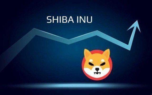How does Shiba Inu Crypto and the token attached to it work in detail?