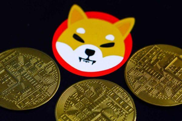 How does Shiba Inu Crypto and the token attached to it work in detail?