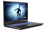 MEDION ERAZER Deputy P30: an almost perfect gaming laptop?
