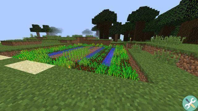 Como obter e plantar cana-de-açúcar no Minecraft - Sugar cana farming