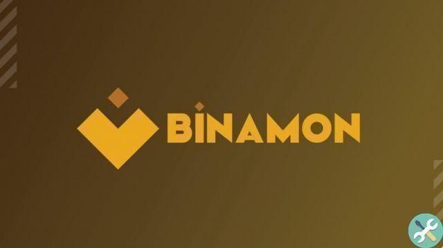 Comment gagner de l'argent en jouant à Binamon ? - Augmentez vos revenus