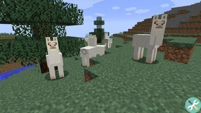 Como domar um cavalo, papagaio, raposa, lhama e outros animais no Minecraft