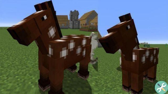 Comment apprivoiser un cheval, un perroquet, un renard, un lama et d'autres animaux dans Minecraft
