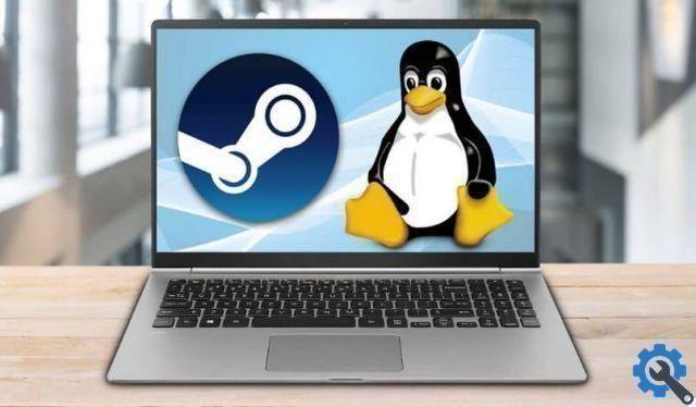 Como instalar e jogar jogos do Windows usando o Steam Play no Linux?