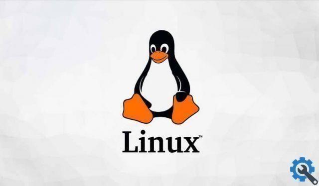 Como instalar e jogar jogos do Windows usando o Steam Play no Linux?