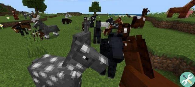 Como criar e criar cavalos no Minecraft para mais