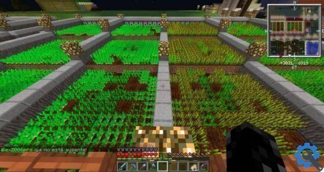 Quelles choses puis-je faire pousser dans un jardin Minecraft ?