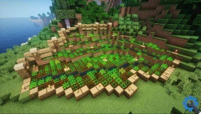 Que coisas posso cultivar em um jardim do Minecraft?